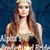 Alpha’s Predestined Bride