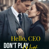 Hello, CEO! Don’t Play With Me!