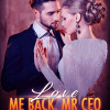 Hidden Flash Marriage: Love Me Back, Mr CEO