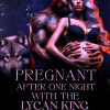 Pregnant After One Night With The Lycan King