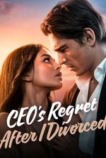 CEO's Regret After I Divorced