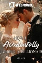 How I Accidentally Married a Billionaire