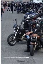 Rage, Vp Of The Wild Rider Mc