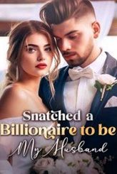 Snatched a Billionaire to be My Husband